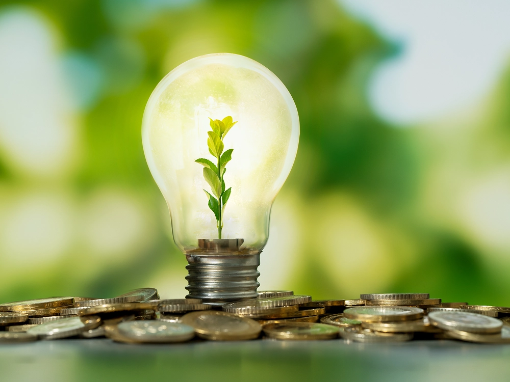 Optimización del consumo y ahorro energético